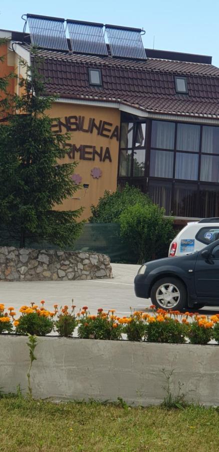 Pensiunea Carmena Baile Felix Ngoại thất bức ảnh
